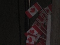 Streetsville Legion Pig Roast July 18 09 025